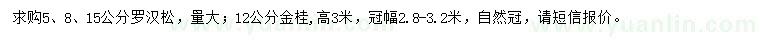 求購5、8、15公分羅漢松、12公分金桂