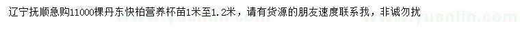 求購1-1.2米丹東檜柏