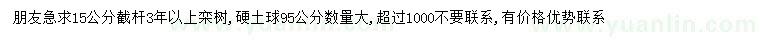 求購(gòu)15公分欒樹(shù)