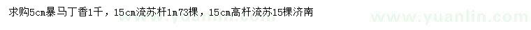 求購(gòu)5公分暴馬丁香、15公分流蘇