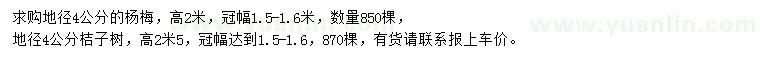求購(gòu)地徑4公分楊梅樹(shù)、桔子樹(shù)