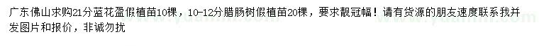 求購(gòu)21公分藍(lán)花楹、10-12公分臘腸樹(shù)
