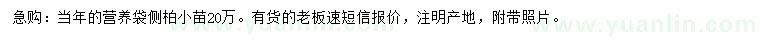 求購側(cè)柏