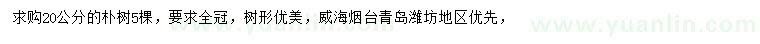 求購20公分樸樹