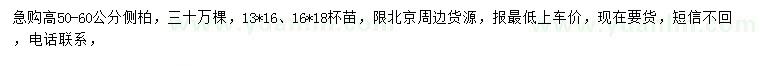 求購高50-60公分側(cè)柏