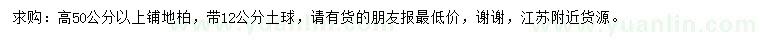 求購高50公分以上鋪地柏
