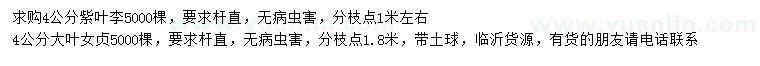 求購(gòu)4公分紫葉李、大葉女貞