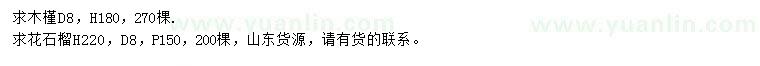 求購地徑8公分木槿、花石榴