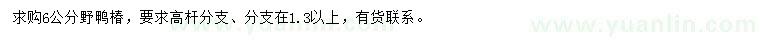 求購(gòu)6公分野鴨椿