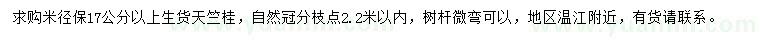 求購(gòu)米徑17公分以上天竺桂