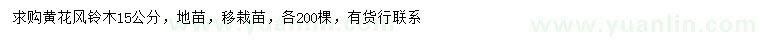 求購15公分黃花風(fēng)鈴木