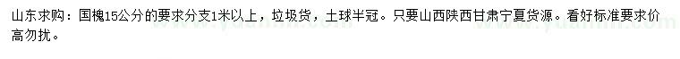 求購15公分國槐