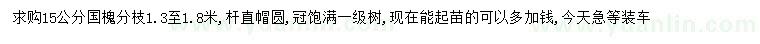 求購15公分國槐