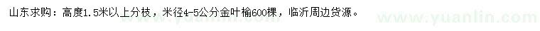 求購(gòu)米徑4-5公分金葉榆