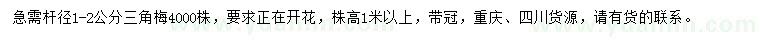 求購桿徑1-2公分三角梅