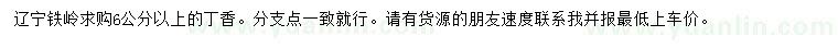 求購6公分以上丁香