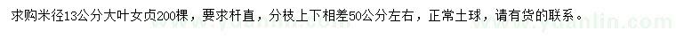 求購米徑13公分大葉女貞