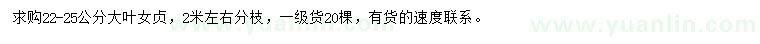 求購22-25公分大葉女貞