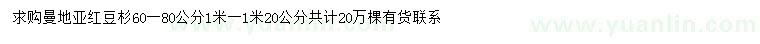 求購60-80、100-120公分曼地亞紅豆杉