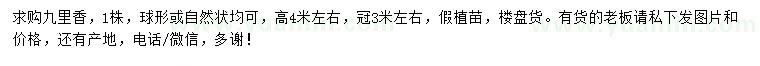 求購高4米九里香