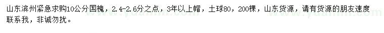 求購10公分國槐