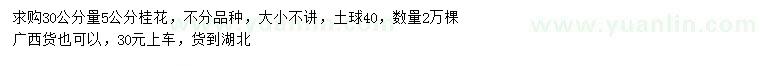 求購(gòu)30量5公分桂花