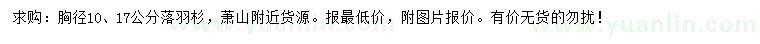 求購胸徑10、17公分落羽杉