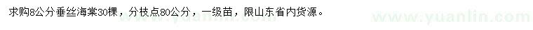 求購8公分垂絲海棠