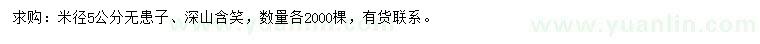 求購米徑5公分無患子、深山含笑