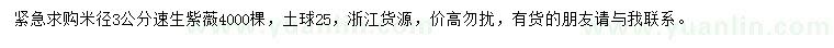 求購米徑3公分速生紫薇