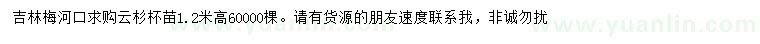求購(gòu)高1.2米云杉