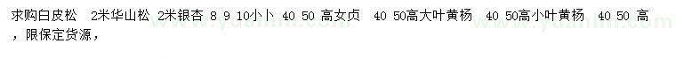求購白皮松、華山松、銀杏