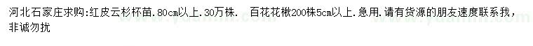 求購80公分以上紅皮云杉