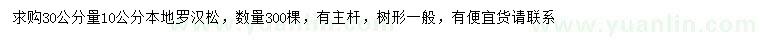 求購30量10公分羅漢松