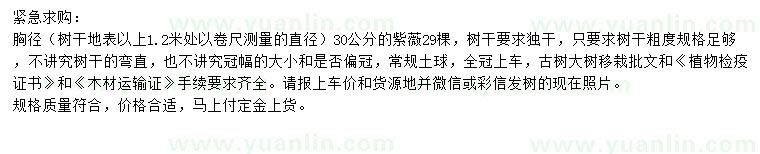 求購胸徑30公分紫薇
