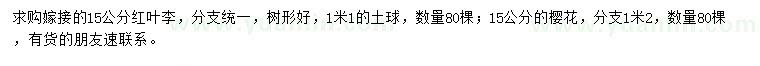 求購15公分紅葉李、櫻花