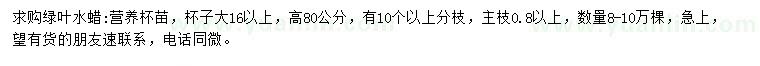 求購(gòu)高80公分綠葉水蠟