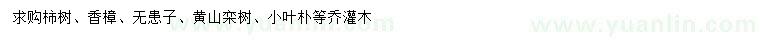 求購(gòu)柿子樹(shù)、香樟、無(wú)患子等