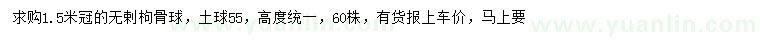 求購冠幅1.5米無剌枸骨球