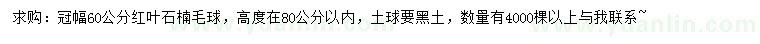 求購冠幅60公分紅葉石楠毛球