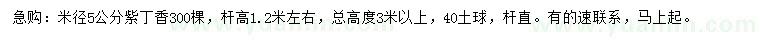 求購米徑5公分紫丁香