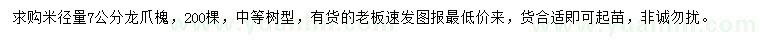 求購米徑量7公分龍爪槐