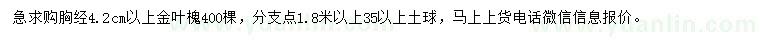 求購胸徑4.2公分以上金葉槐