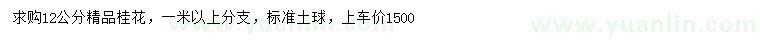 求購12公分桂花