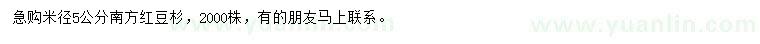 求購米徑5公分南方紅豆杉