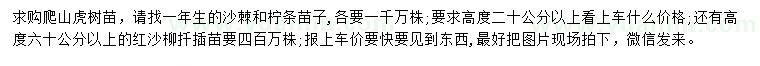 求購爬山虎、沙棘、檸條等