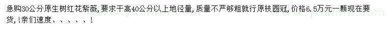 求購30公分紅花紫薇