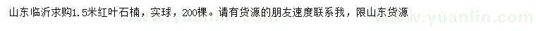 求購(gòu)1.5米紅葉石楠