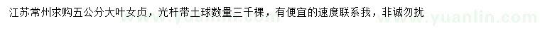 求購5公分大葉女貞