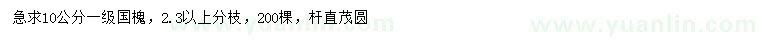 求購10公分國槐